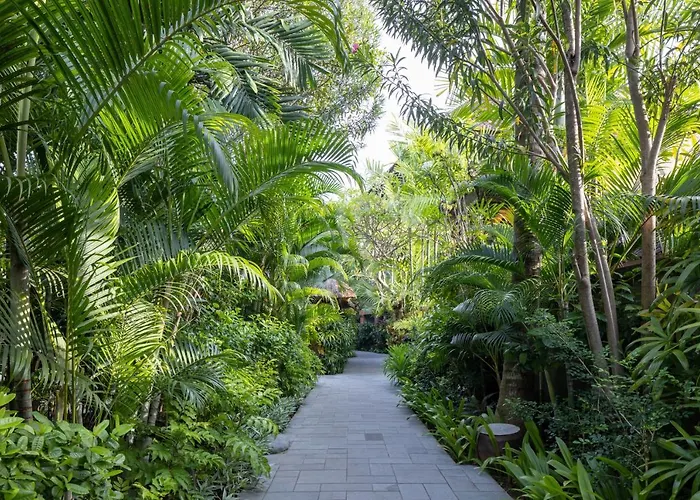 The Alantara